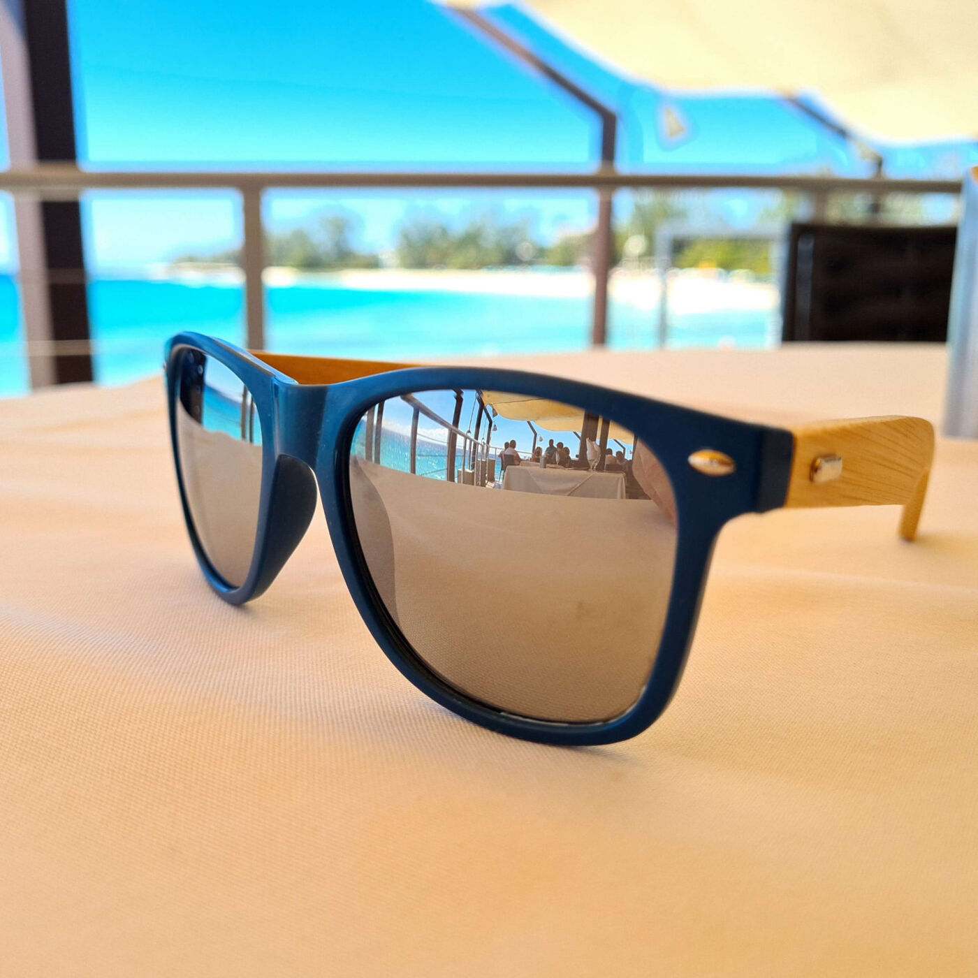 Wheat Straw & Bamboo Sunglasses