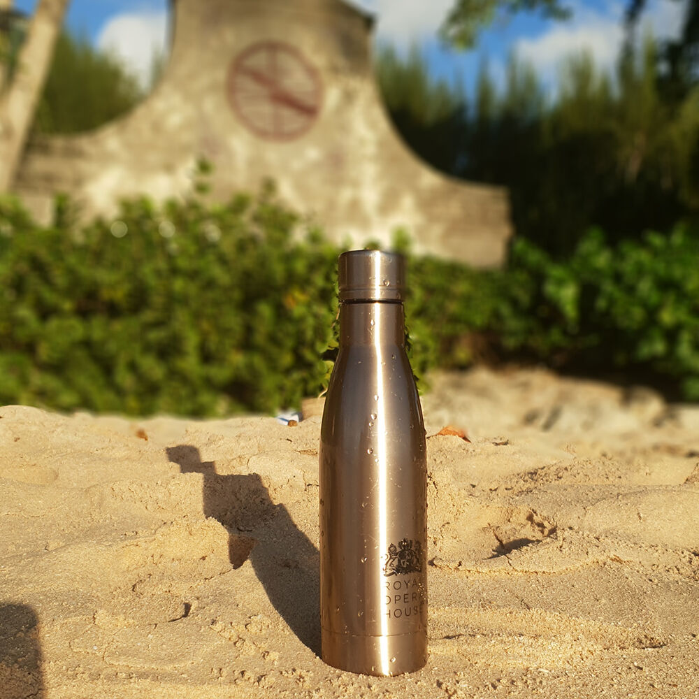 Copper Vacuum Insulated Bottle