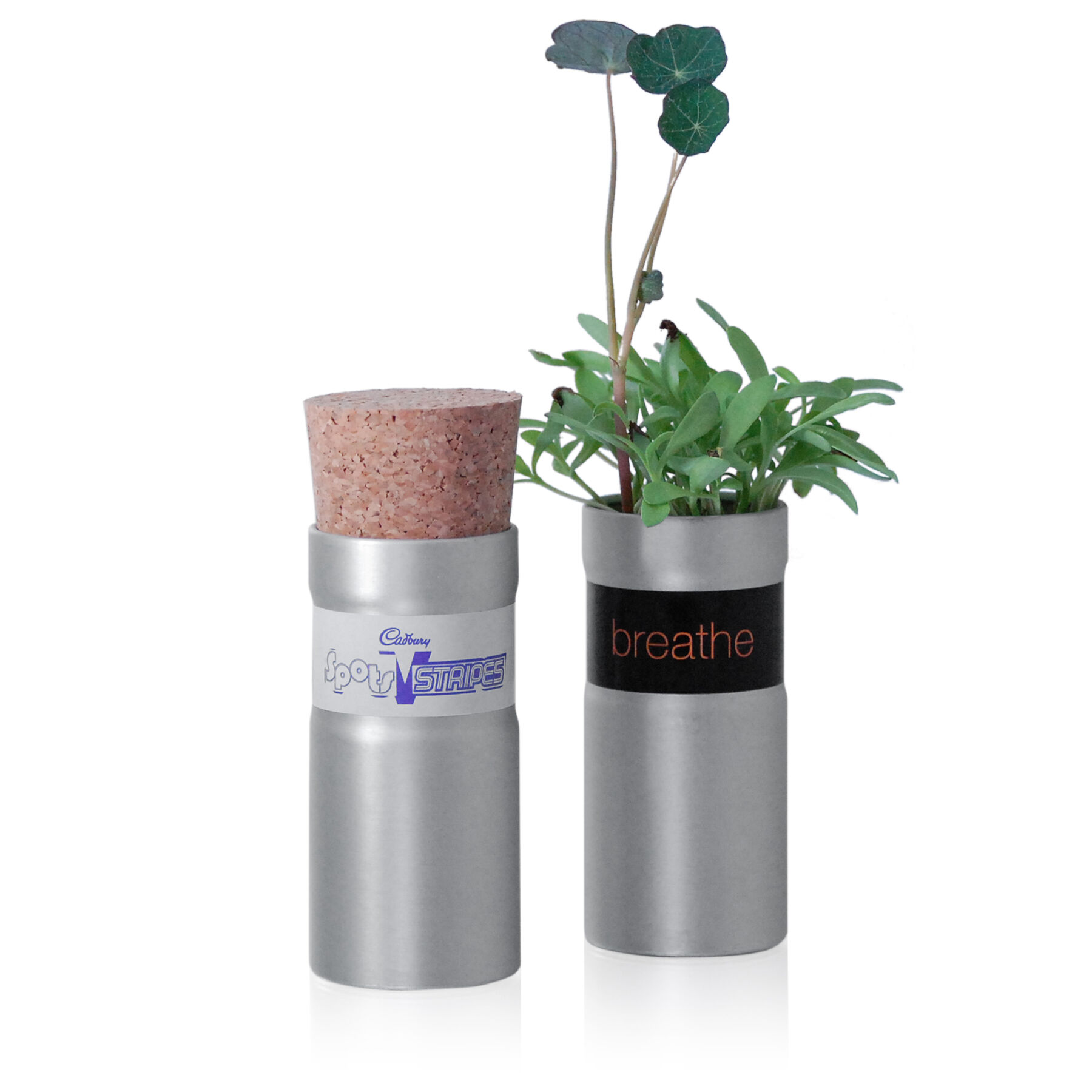 Desktop Garden