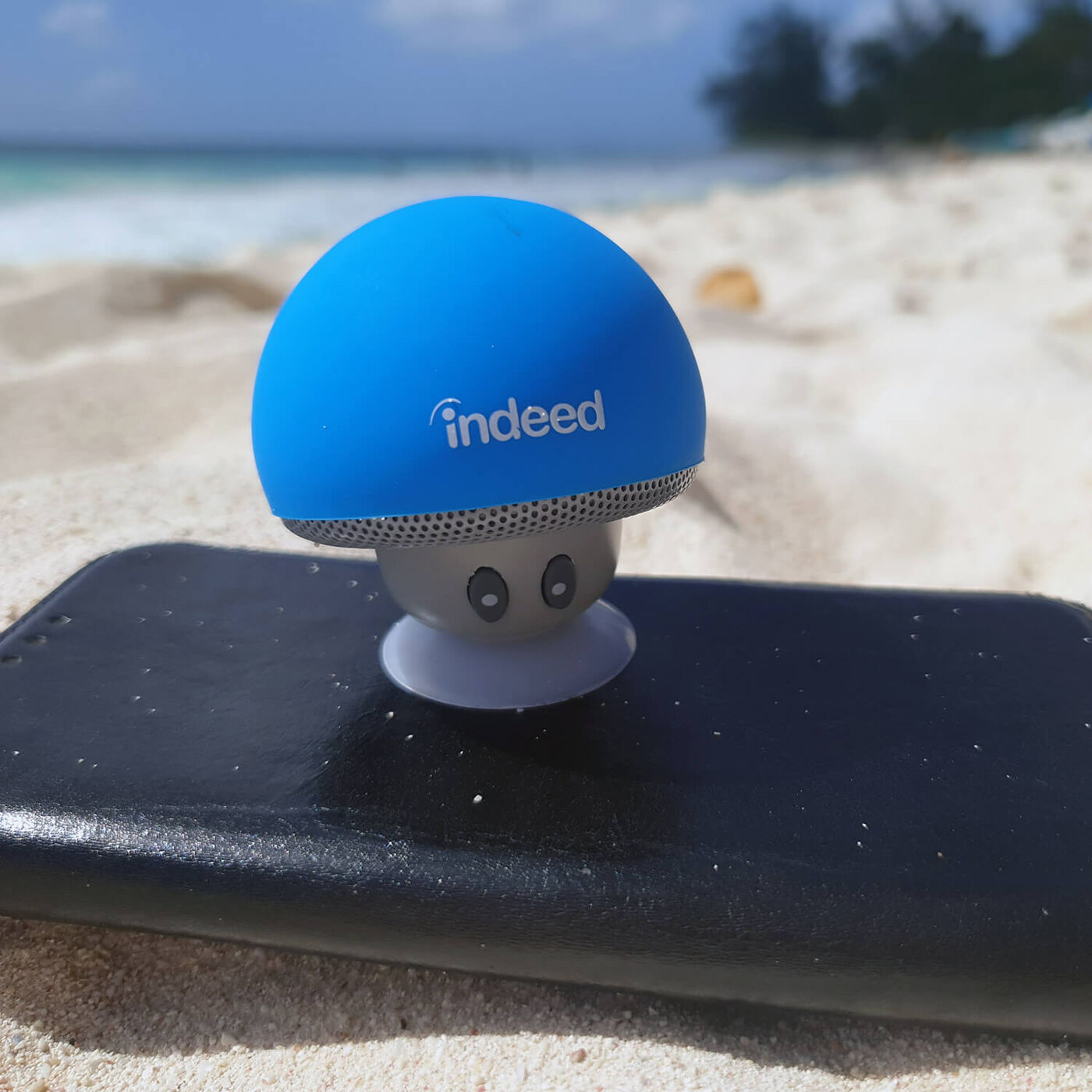 Mushroom Bluetooth Speaker & Phone Stand