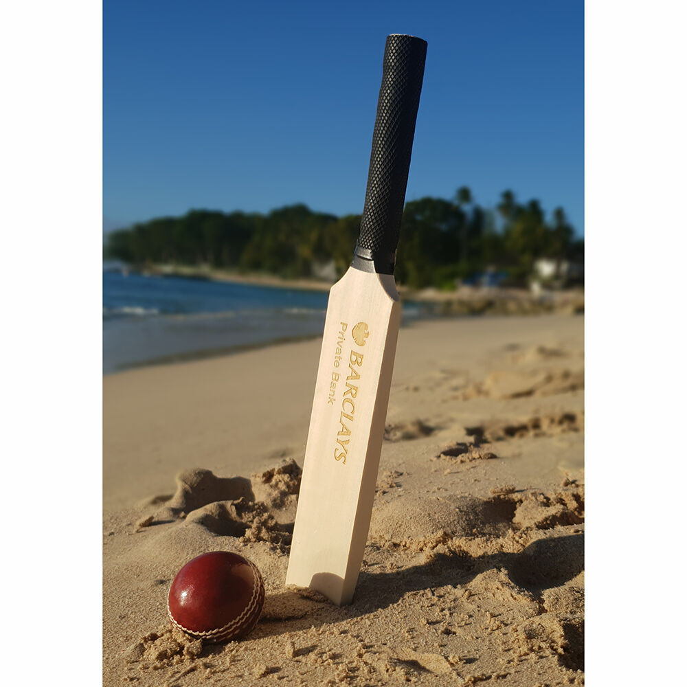 Mini Cricket Bats