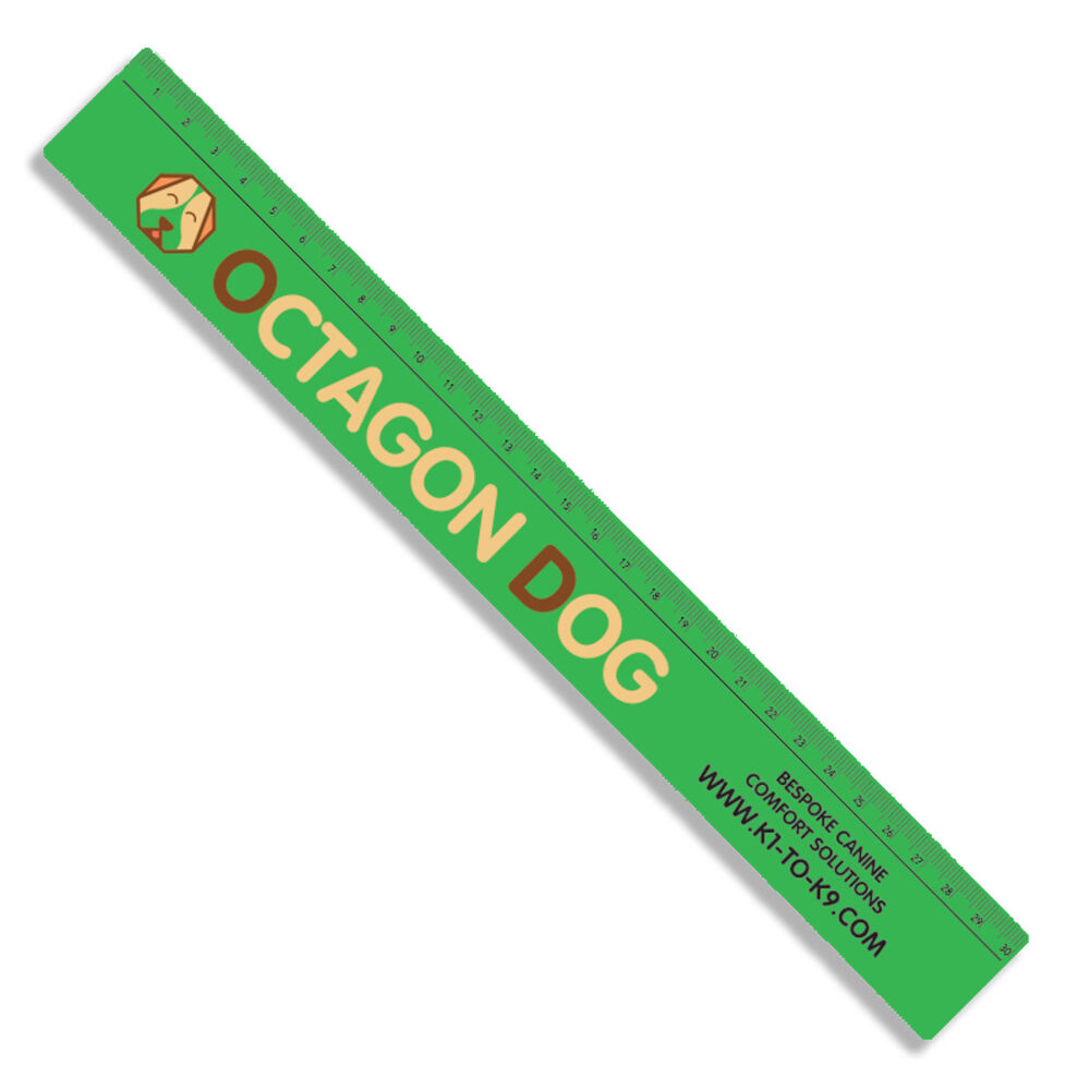 Recycled Plastic 30cm Ruler