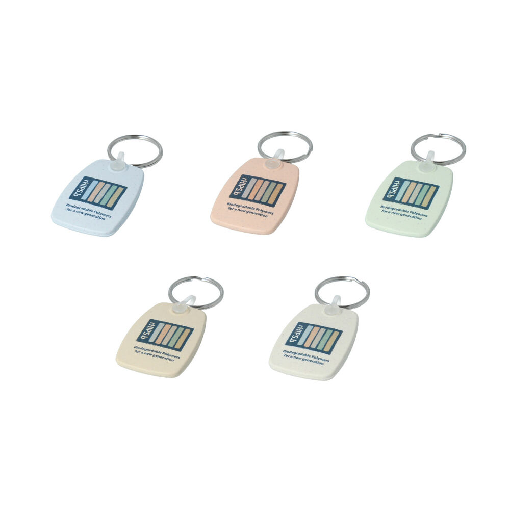 Recycled Plastic rHIPS Keyring