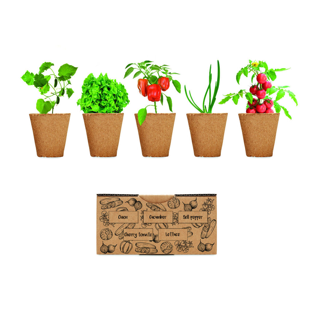 Salad Growing Kit