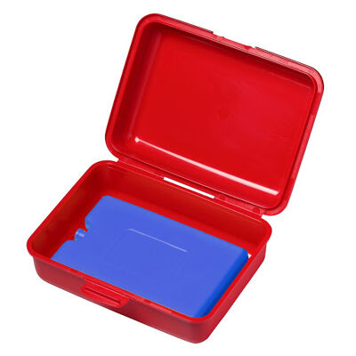 Lunch Box with Freezer Pack