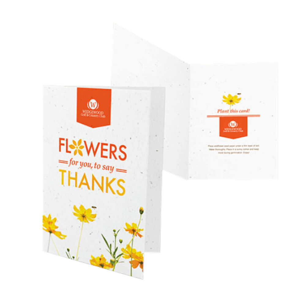 Seed Paper Greeting Cards