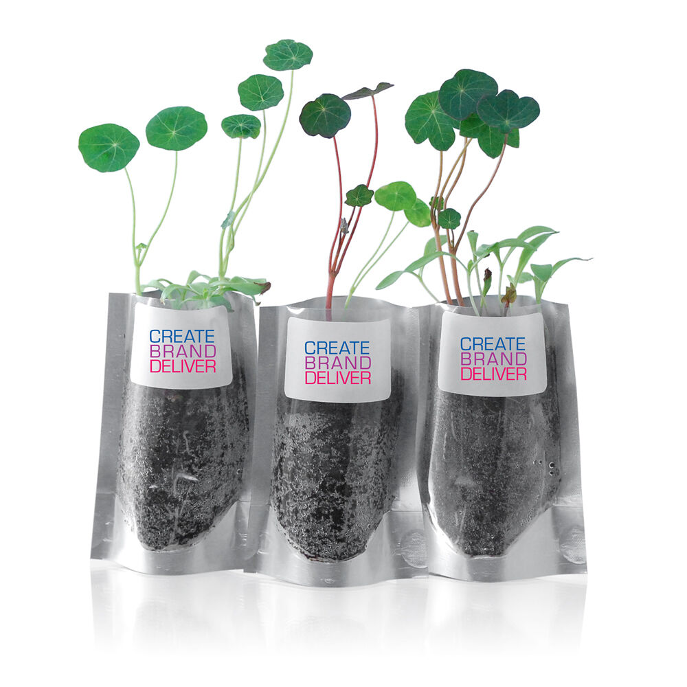 Desktop Pouches of Seeds