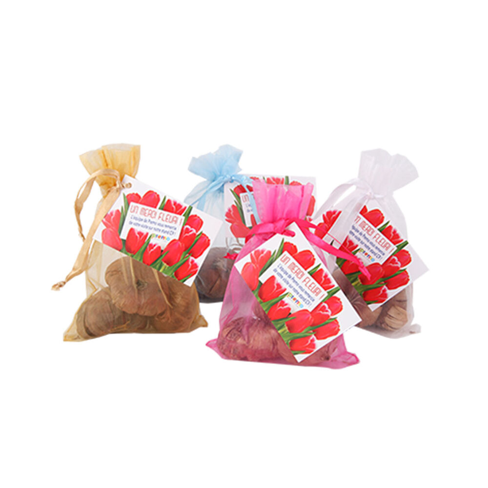 Tulip Bulbs Pouch colours