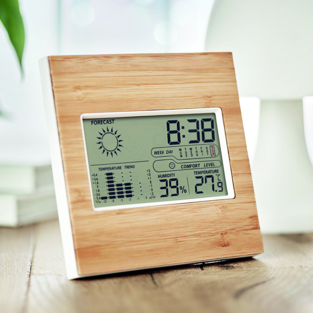 Weather station with bamboo front