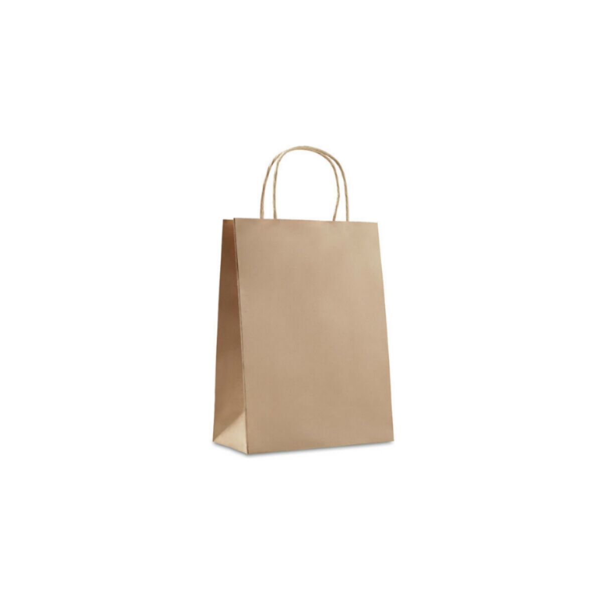 Paper Bag (Small)