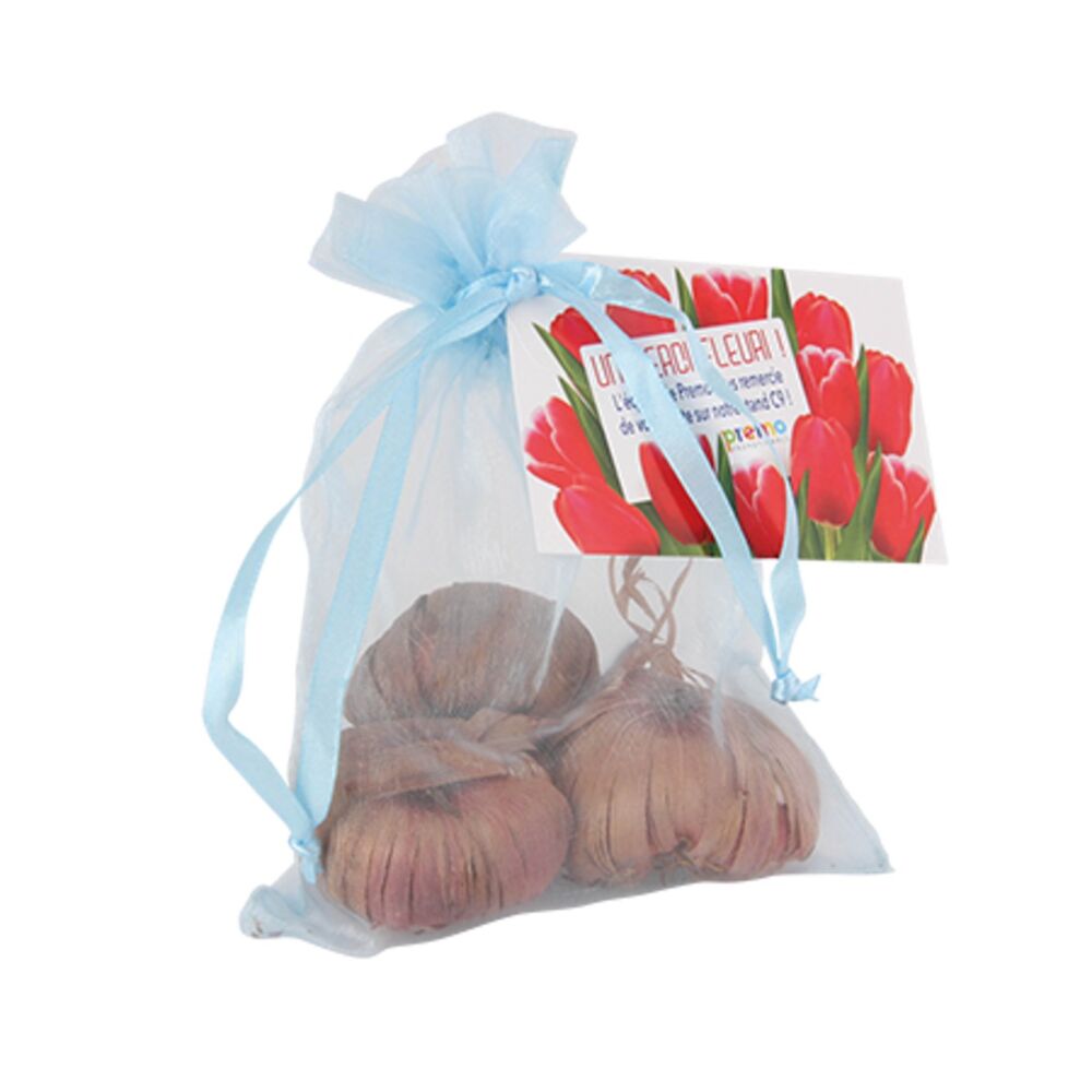 Tulip Bulbs Pouch in Light Blue Colour