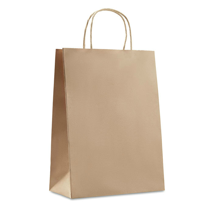 Paper Bag (Large)