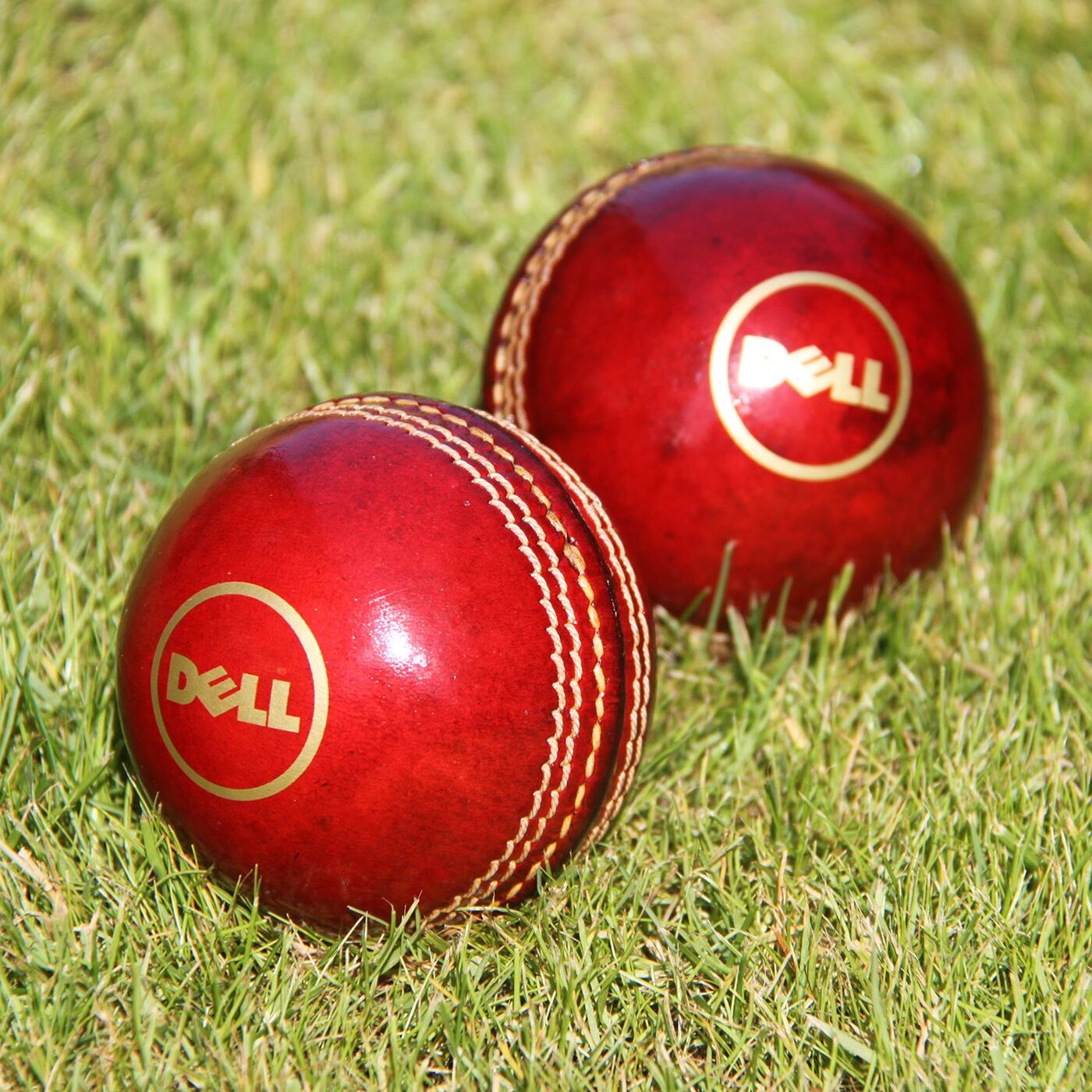 Promotional Branded Cricket Balls