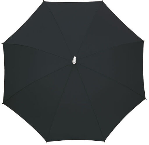Automatic Stick Umbrella in Black 