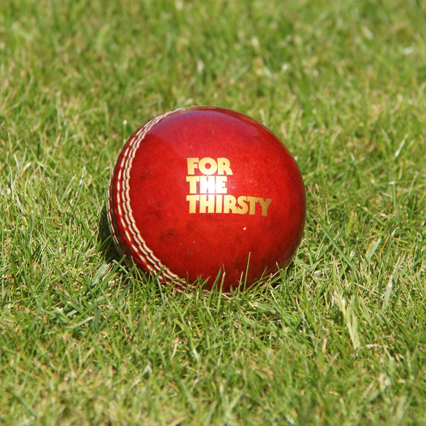 Promotional Branded Cricket Balls