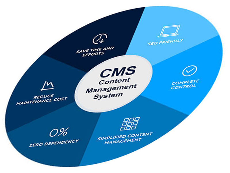 Does my website need a CMS to succeed?